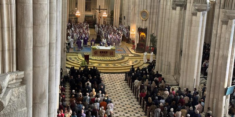 El cardenal Jos&eacute; Cobo, en la misa funeral por Francisco: &laquo;Se dio para la Iglesia y nos mostr&oacute; que la vida cristiana vale la pena cuando se vive de verdad, de rodillas y con las manos para los dem&aacute;s&raquo;