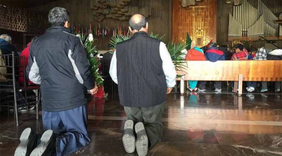 Ir a Misa es &laquo;elixir para mejorar la salud f&iacute;sica y mental&raquo;, asegura cient&iacute;fico de Harvard