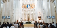 El cardenal Cobo recuerda en la Misa de apertura del curso de la UESD que se estudia y se ense&ntilde;a &laquo;para comprender mejor y servir mejor a la Iglesia y a las personas concretas a las que somos enviados&raquo;