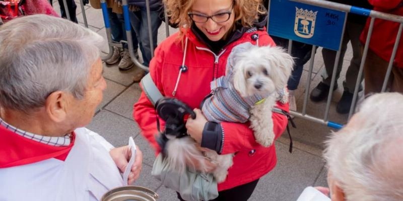 La Iglesia de san Ant&oacute;n celebra al patr&oacute;n de los animales: misas, bendiciones y panecillos del santo