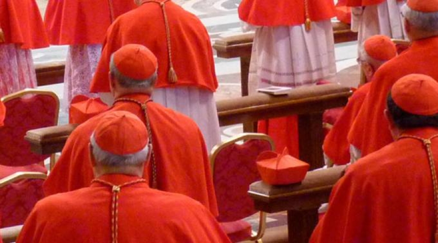 Cardenales piden audiencia al Papa Francisco para tratar &laquo;dubbia&raquo; de Amoris Laetitia