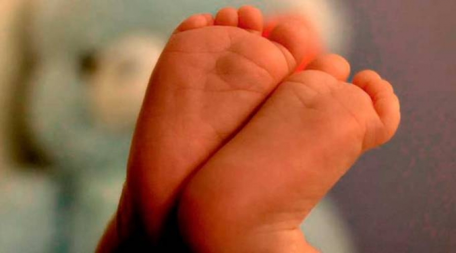 Aceptar el aborto es signo de un periodo oscuro de la historia humana, afirma obispo