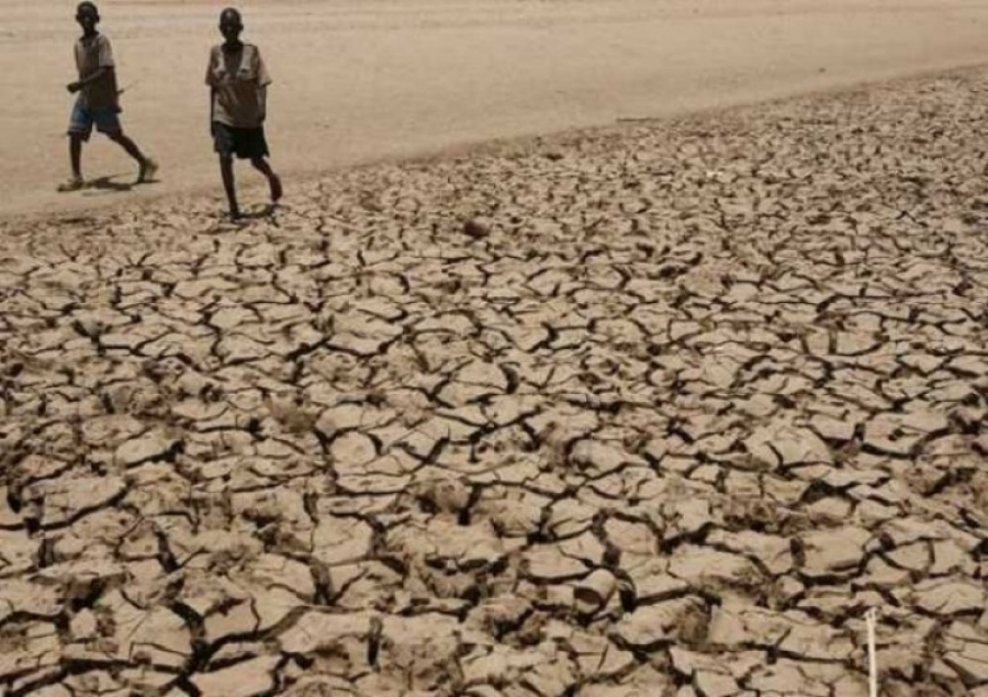 C&aacute;ritas Internationalis alerta sobre los efectos de la sequ&iacute;a y la escasez de alimentos en Etiop&iacute;a