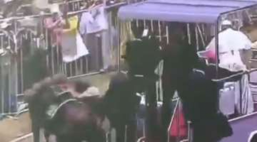 Mujer polic&iacute;a cae de caballo y el Papa detiene el papam&oacute;vil para asistirla
