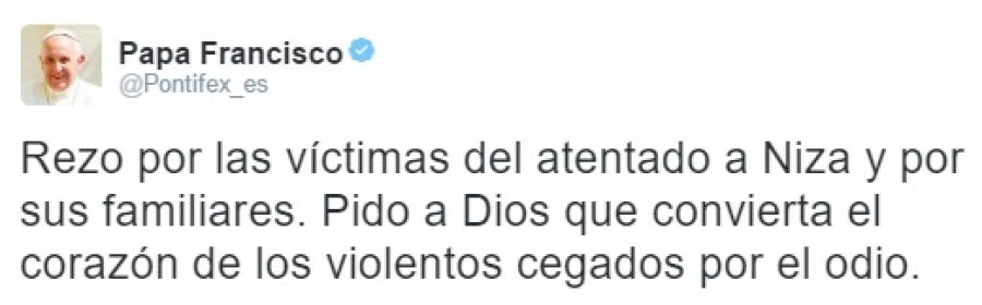 Papa Francisco: &laquo;Pido a Dios que convierta el coraz&oacute;n de los violentos cegados por el odio&raquo;.
