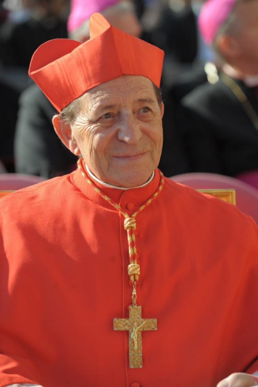 Cardenal Herranz: `El Consistorio, un momento de gracia`