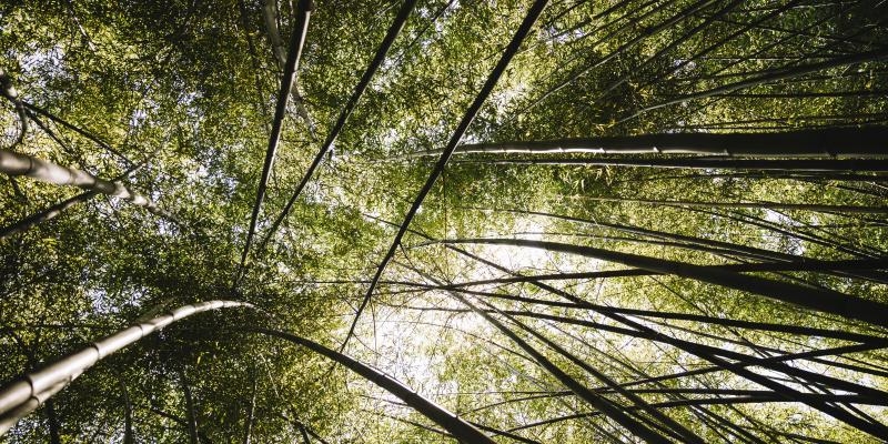 Clase de la Escuela Itinerante de Formaci&oacute;n Social: 'El ser y el hacer eclesial en la defensa de la Casa Com&uacute;n'