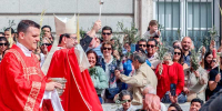 El cardenal José Cobo invita en el Domingo de Ramos a «dar un salto de fe» para pasar de ser «espectadores» a «seguidores de Cristo»