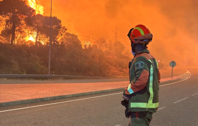 La di&oacute;cesis de Madrid, unida en oraci&oacute;n por quienes sufren las consecuencias de los graves incendios: Intenci&oacute;n para incluir en la oraci&oacute;n de los fieles