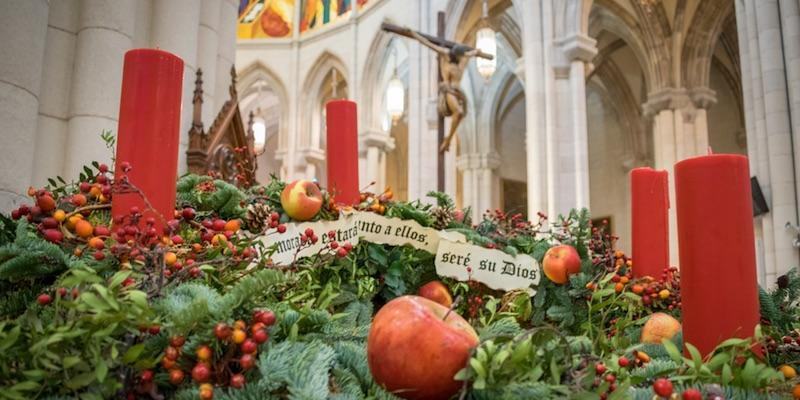 II Domingo de Adviento: el cardenal Jos&eacute; Cobo preside una misa en la catedral de la Almudena