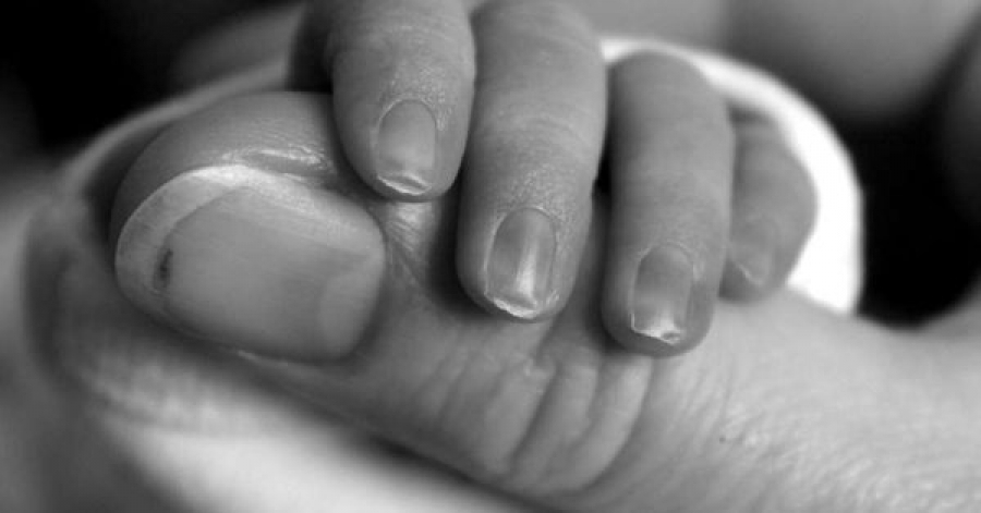 Obispo critica a quienes aprueban el aborto y se denominan cat&oacute;licos