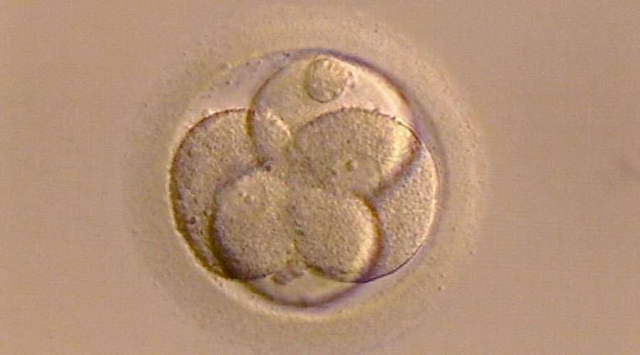 Gobierno de Estados Unidos reconocer&iacute;a que la vida humana empieza en la concepci&oacute;n