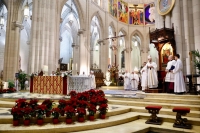 El cardenal Cobo en la Misa de la noche de Navidad:  &laquo;La historia de la humanidad se ha decidido en Bel&eacute;n, donde Dios desciende en la peque&ntilde;ez. No se impone, se conf&iacute;a; no conquista, se ofrece&raquo;