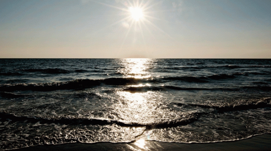 Joven con s&iacute;ndrome de Down salva a una ni&ntilde;a de ahogarse