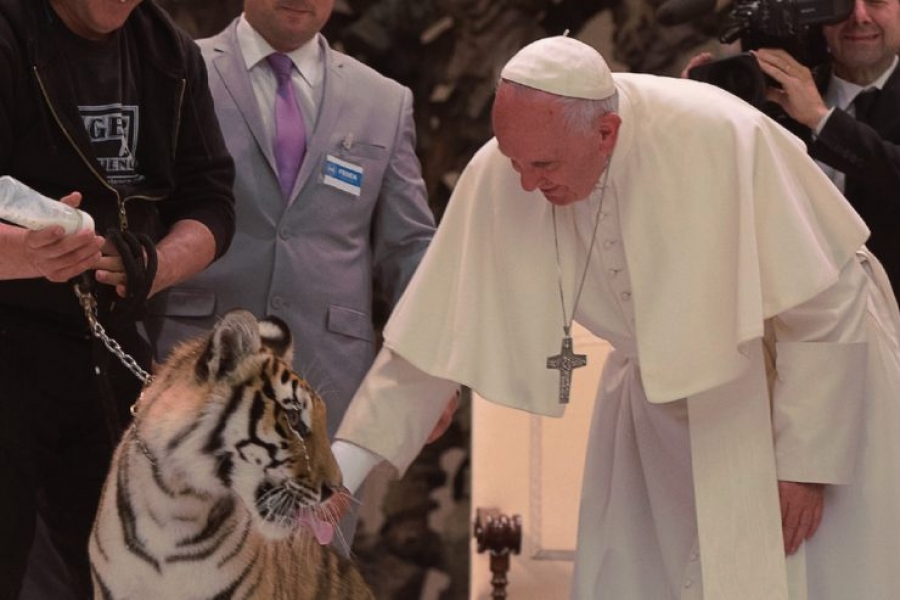 Francisco a los artistas callejeros: &lsquo;Sembrar belleza y alegr&iacute;a tambi&eacute;n es misericordia'