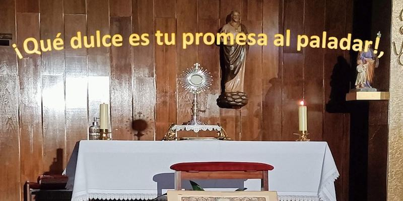 La RCCE invita a participar en Nuestra Señora de Lourdes y San Justino en su noche de adoración y alabanza de julio