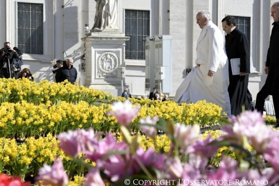 Francisco en la Audiencia: &laquo;J&oacute;venes, &iexcl;lleven el testimonio de la paz!&raquo;