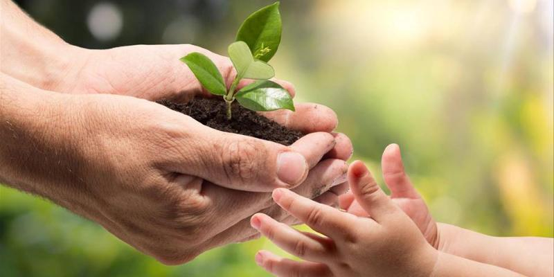El Seminario Conciliar de Madrid acoge la Jornada Mundial de Oraci&oacute;n por el Cuidado de la Creaci&oacute;n 2025