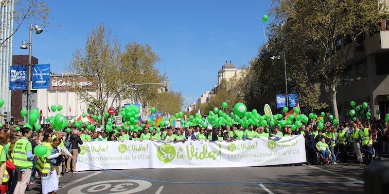 Miles de personas inundan Madrid en defensa de la vida humana desde su inicio a su fin natural